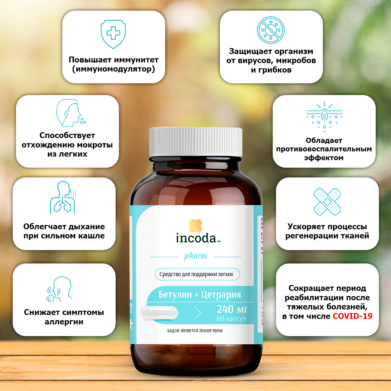 Бетулин + Цетрария, Инкода, 60 капсул