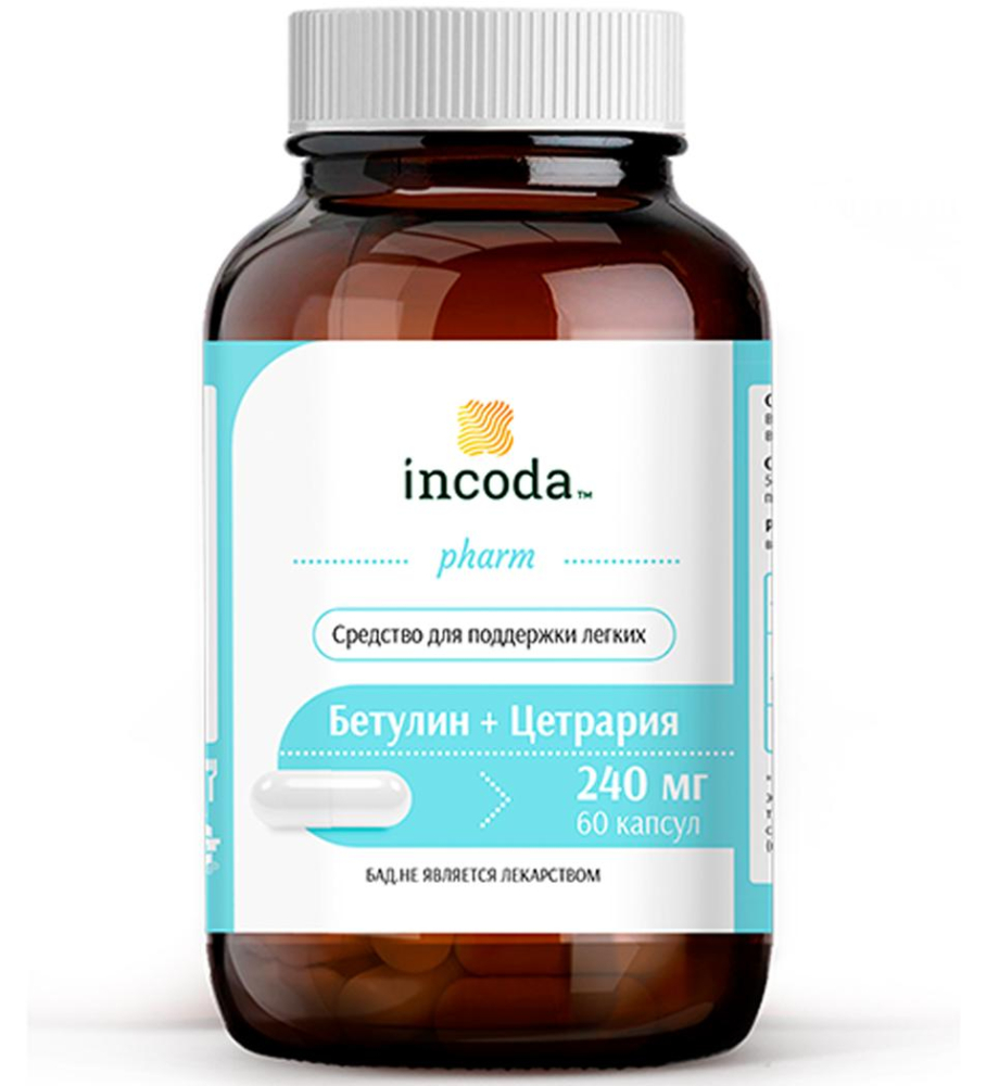 Бетулин + Цетрария, Инкода, 60 капсул