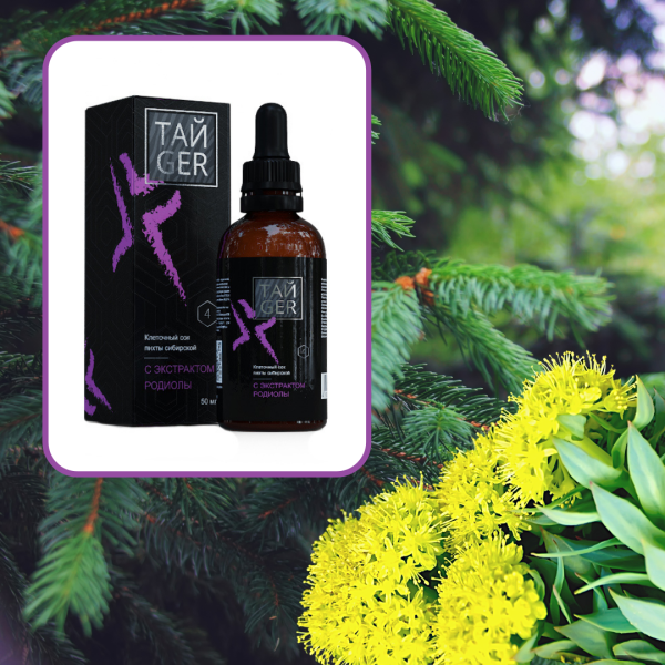 Клеточный сок пихты с экстрактом родиолы ТАЙGER, 50 мл