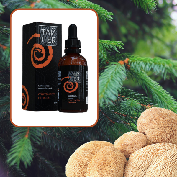 Клеточный сок пихты с экстрактом ежовика ТАЙGER, 50 мл