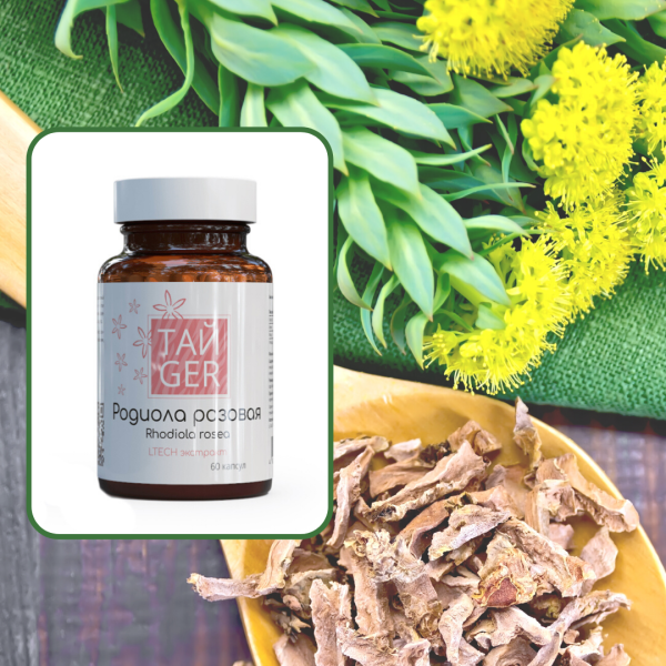 Экстракт родиолы ТАЙGER, 60 капсул